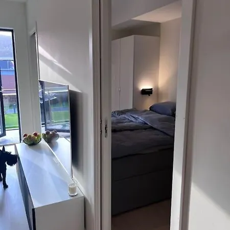 Hele Leiligheten: Supersentral 2 Roms Kongsberg